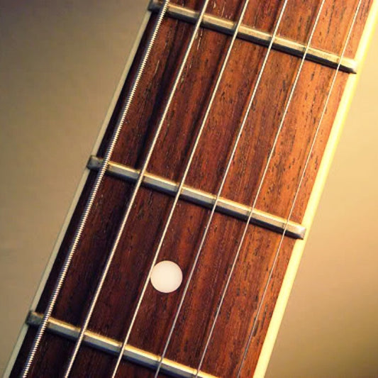 A Guitar Player's Guide To CITES: All You Need To Know