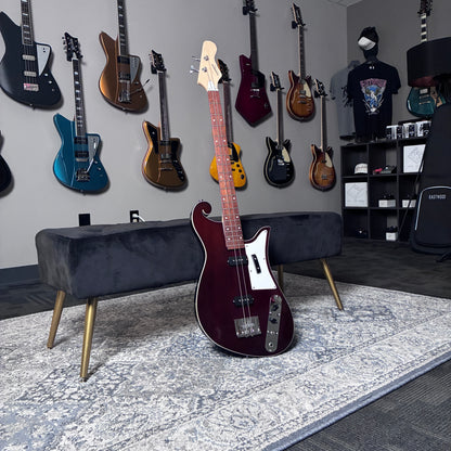 OPEN BOX - The Sandman 2-String Bass